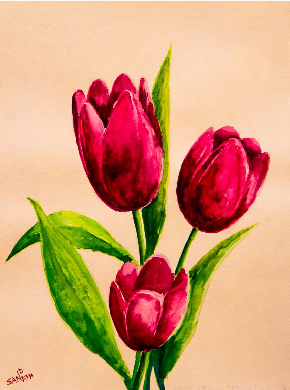Flora